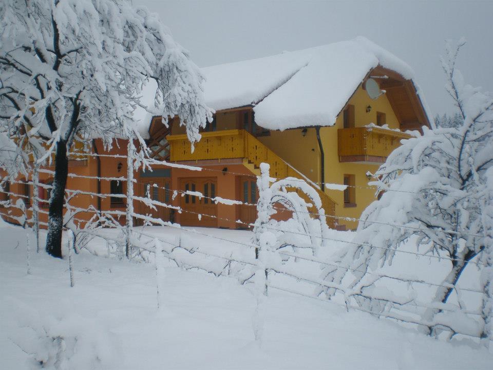 Apartment Beli Zajec Mozirje Buitenkant foto